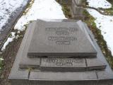 image of grave number 516531